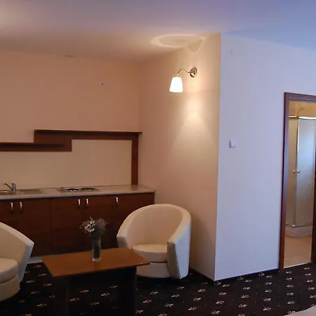 Paltinis Otel Hunedoara