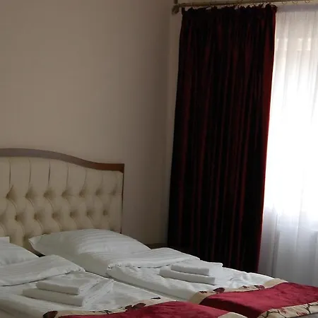 Paltinis Otel