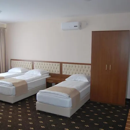 Otel Paltinis 3*