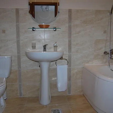 Otel Paltinis Hunedoara