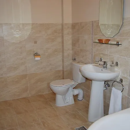 Paltinis Otel 3*