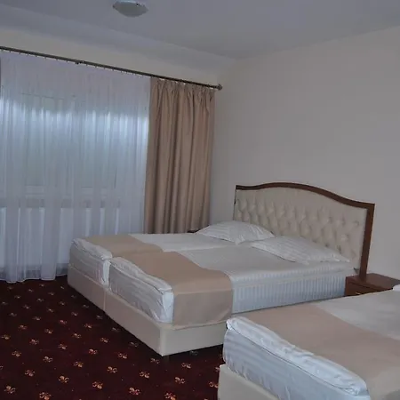 Otel Paltinis Hunedoara