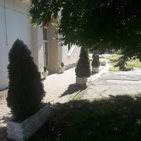 Paltinis Otel